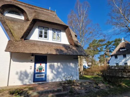 Achtern Diek Haus 7 Wohnung 4 in Zingst, Deutschland