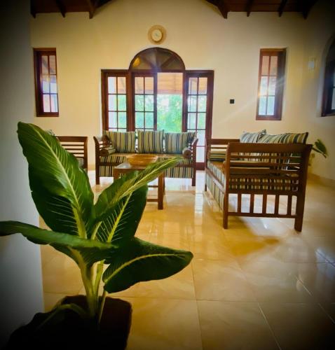 Kingcity Resort in Anuradhapura