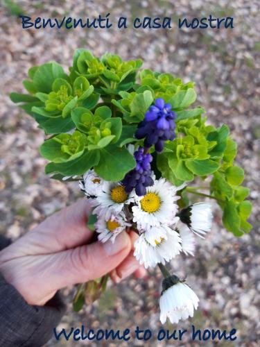 阿西西 La Quiete Assisi 3星级 民宿 景观