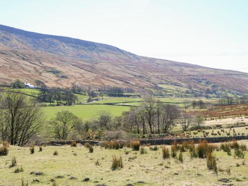 Sycamore Tree Farm - image 8