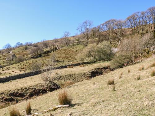 Sycamore Tree Farm - main image