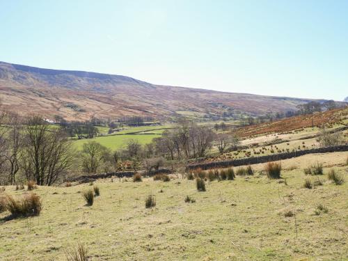 Sycamore Tree Farm - image 12