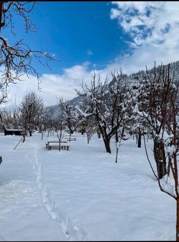 Kahaani - Private Chalet with Bonfire and Apple Orchard in Jagatsukh