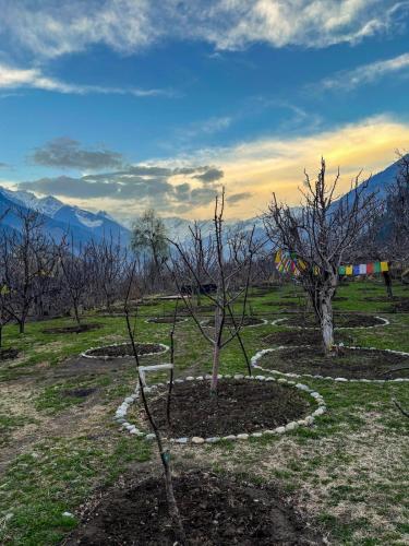 Kahaani - Private Chalet with Bonfire and Apple Orchard in Jagatsukh