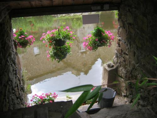Chambres Hotes Saint Yves photo 16