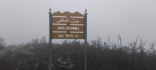 الدار الكبيرة الدار الكبيرة