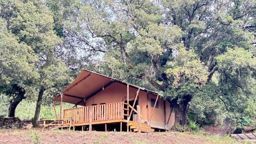 Lodge A NASSA gîte à louer Corrano