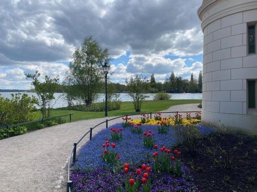Residence Park am Schweriner See Schwerin - DMS01064-SYB - image 8