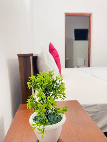 Twin Room with Garden View image 4