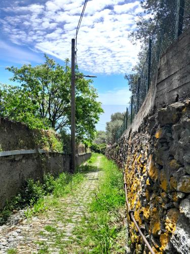 Attico sul Mare By Smart-Home