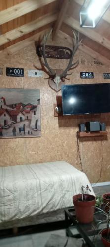 Monoambiente en la montaña (Monoambiente en la montana) in Lolog