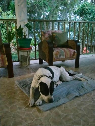 Kilátás, Kynza Turismo Rural in Choachi