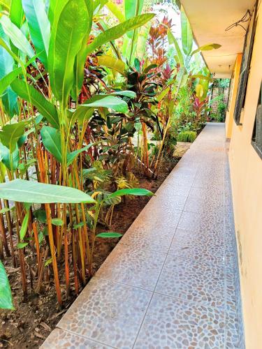 Kert, Bijao Hostel in Tarapoto