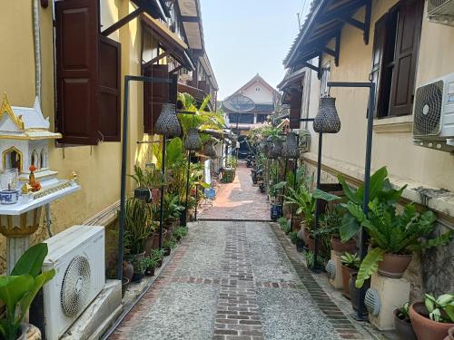外部景觀, City Backpackers LuangPrabang in 鎮中心