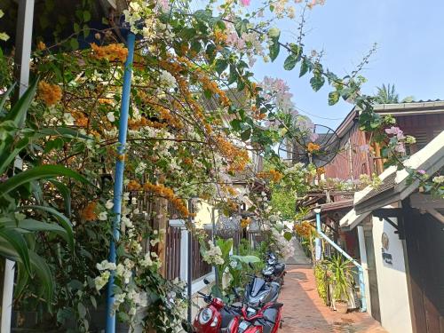 外部景觀, City Backpackers LuangPrabang in 鎮中心