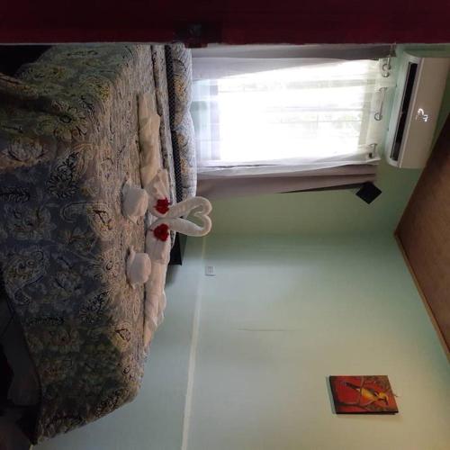 Angel Bee Lodge, Fortuna (photo 8)