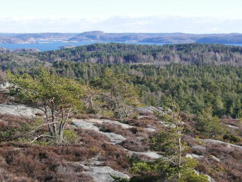 Közeli látványosságok, Lekanders Bar & Boende in Fagerfjall