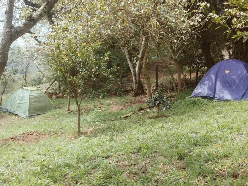 A környék, Kynza Turismo Rural in Choachi