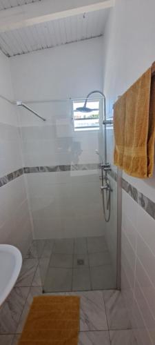 Villa tempO in Sainte Rose