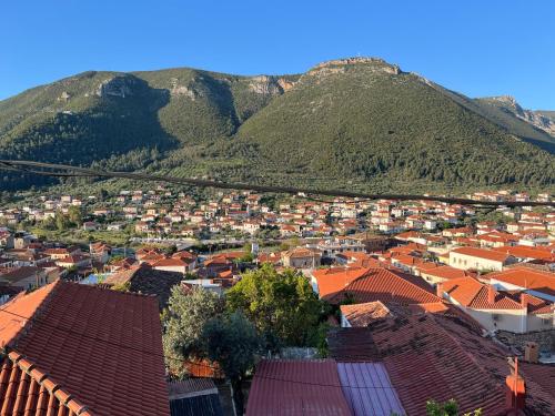 Sunshine 2, Leonidio