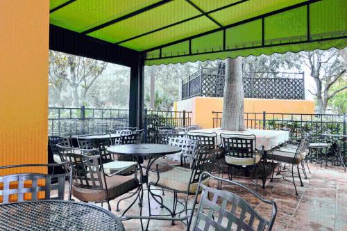 Spark by Hilton Orlando near SeaWorld in International Drive South - Sea World