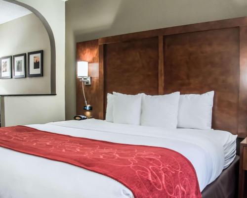 Comfort Suites Research Park - University - image 9