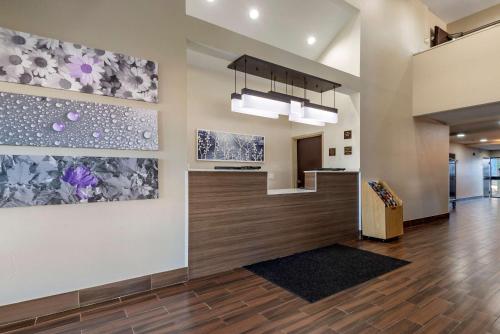 大堂, 斯利普茵酒店-索爾茲伯里I-85 (Sleep Inn - Salisbury I-85) in 索爾茲伯里