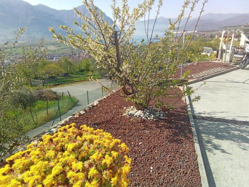  Cà Negra Ca negra suite in Costa Volpino