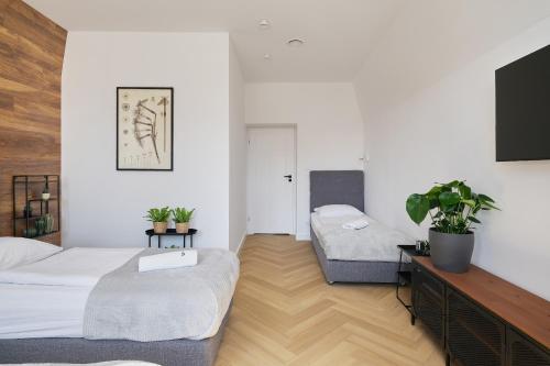 One-Bedroom Apartment image 7