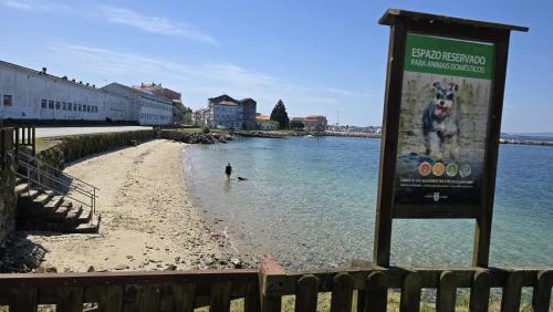 Apartment - Sleeps 6 - Pet Friendly - Seaside, Vilagarcia de Arousa (fotografie 2)