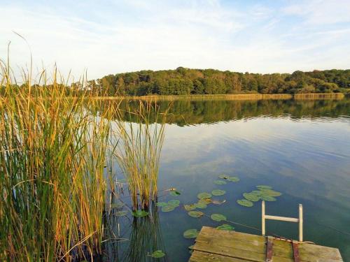 Skats, idyllische Ferienwohnung am Rittermannshagener See in Groß Gievitz