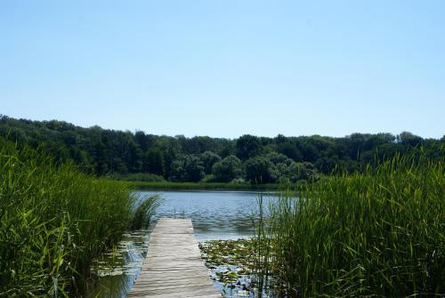idyllische Ferienwohnung am Rittermannshagener See in Groß Gievitz