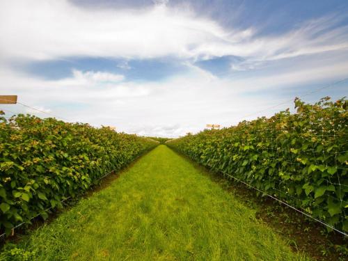 Apkārtne, Ferienhof Landfrieden in Volervīka