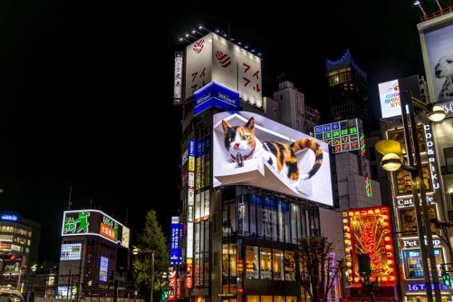 Shinjuku short-term stacation