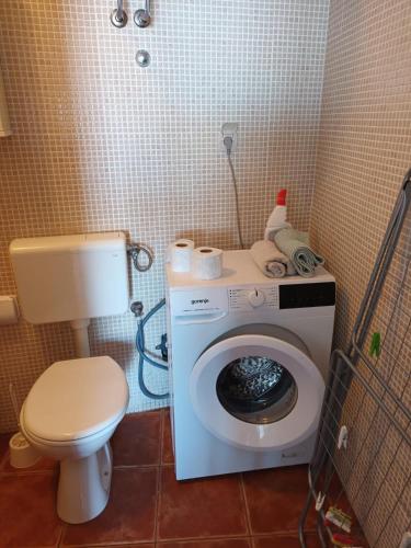One-Bedroom Apartment image 10