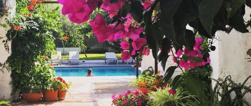 . Horta d'en Rahola - Adults Only