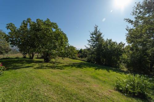 Poggio delle Ginestre 3
