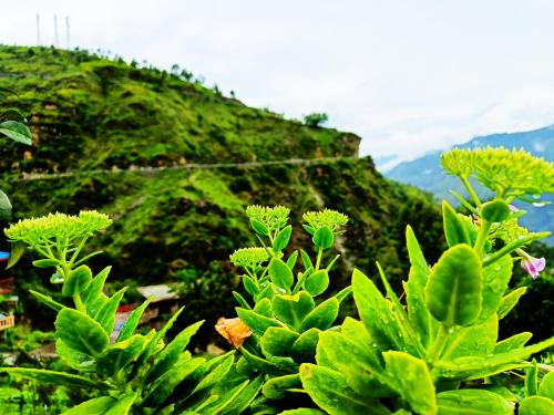 Aastik guest House Aastik guest House