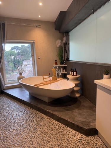 Deluxe Queen Suite