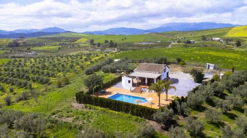 Cubo's Cid & Ruiz Olivar Rural House in Gibralgalía