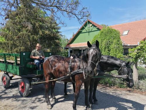 Frankó Tanya Vendégház
