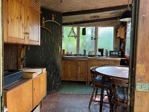 Bungalow im Wald am See - Biberspur in Coswig (Anhalt)
