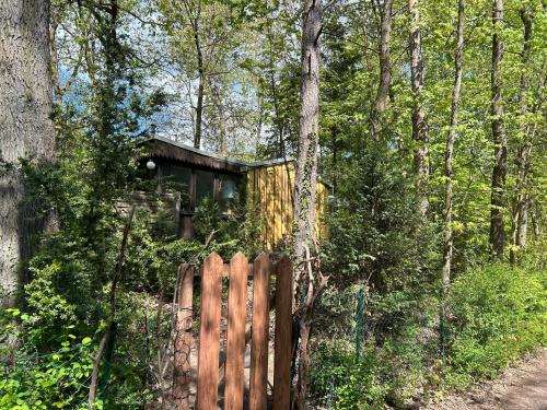 Bungalow im Wald am See - Biberspur in Coswig (Anhalt)