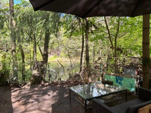 Bungalow im Wald am See - Biberspur in Coswig (Anhalt)