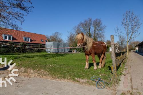 Ponyhof Aagtekerke Sfeervolle 4-persoonswoning vlakbij strand en Domburg Ponyhof Aagtekerke Sfeervolle 4-persoonswoning vlakbij strand en Domburg