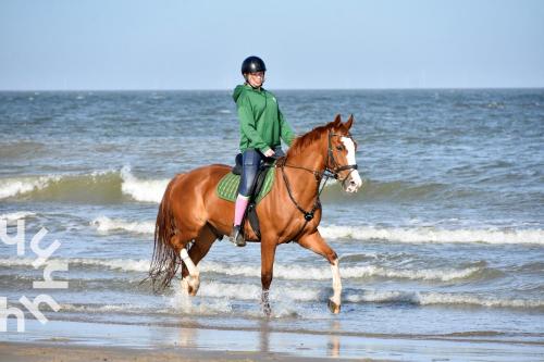 Ponyhof Aagtekerke Sfeervolle 4-persoonswoning vlakbij strand en Domburg Ponyhof Aagtekerke Sfeervolle 4-persoonswoning vlakbij strand en Domburg
