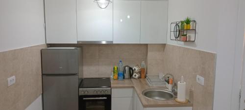 Apartman Sofisi, Banja Koviljača (Foto 10)