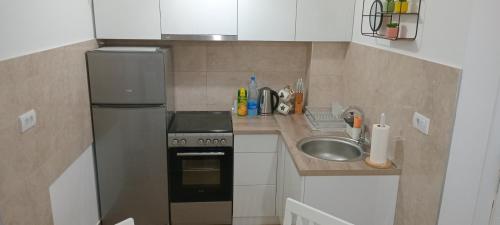 Apartman Sofisi, Banja Koviljača (Foto 9)