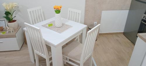 Apartman Sofisi, Banja Koviljača (Foto 8)