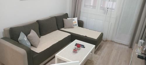 Apartman Sofisi, Banja Koviljača (Foto 7)